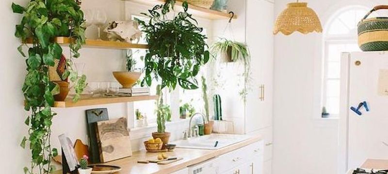 33cb983dd348546a34af0a872ec891ee