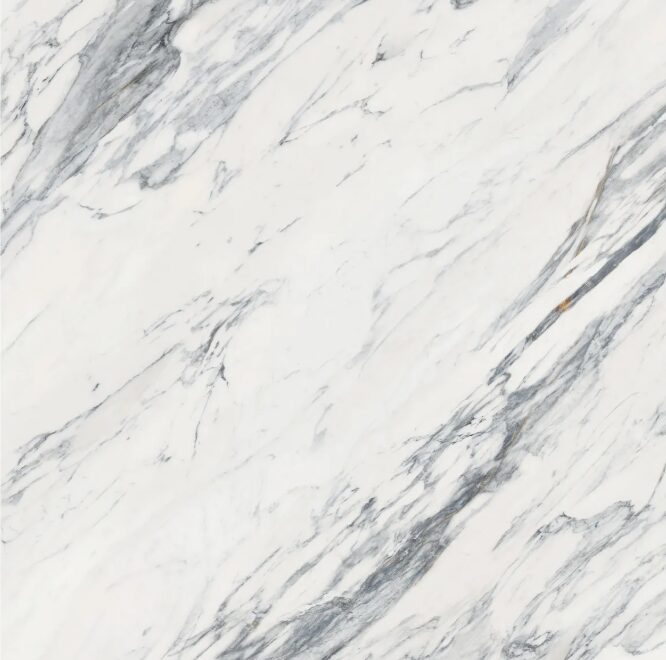 48 x 48 Carrelage en porcelaine Majesto Calacatta Corchia adouci rectifié Colorsync