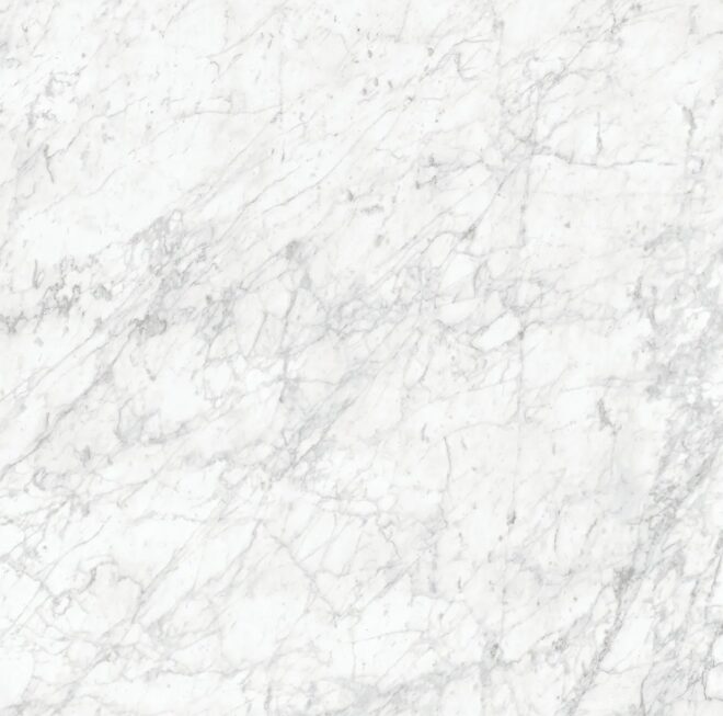 48 x 48 Majesto Bianco Gioia Honed Rectified Colorsync Porcelain Tile